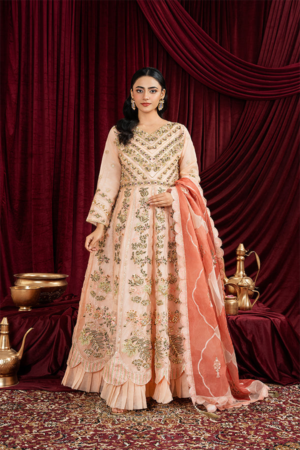 3 PIECE STITCHED EMBROIDERED SUIT MAXI-22 - Nafuji Store