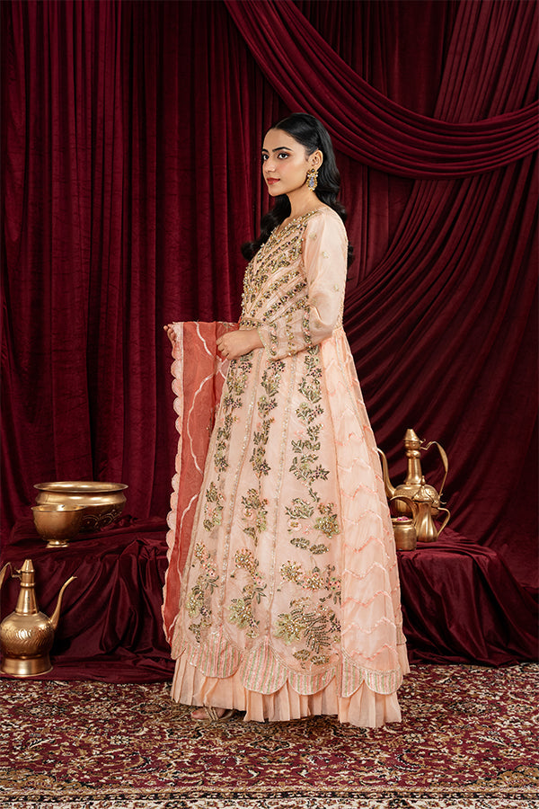 3 PIECE STITCHED EMBROIDERED SUIT MAXI-22 - Nafuji Store