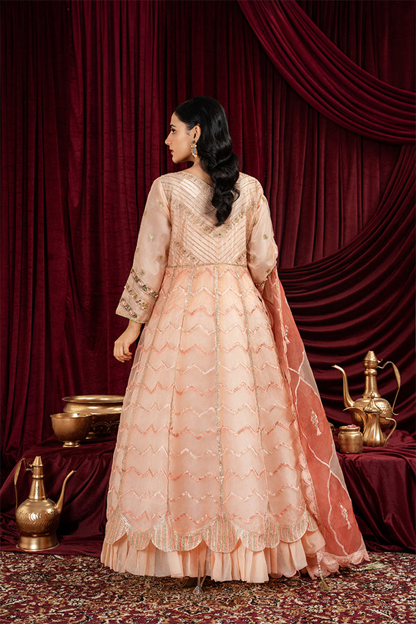 3 PIECE STITCHED EMBROIDERED SUIT MAXI-22 - Nafuji Store