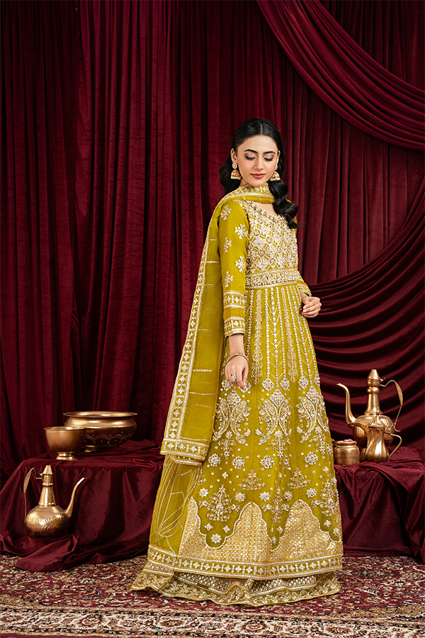 3 PIECE STITCHED EMBROIDERED SUIT MAXI-20 - Nafuji Store