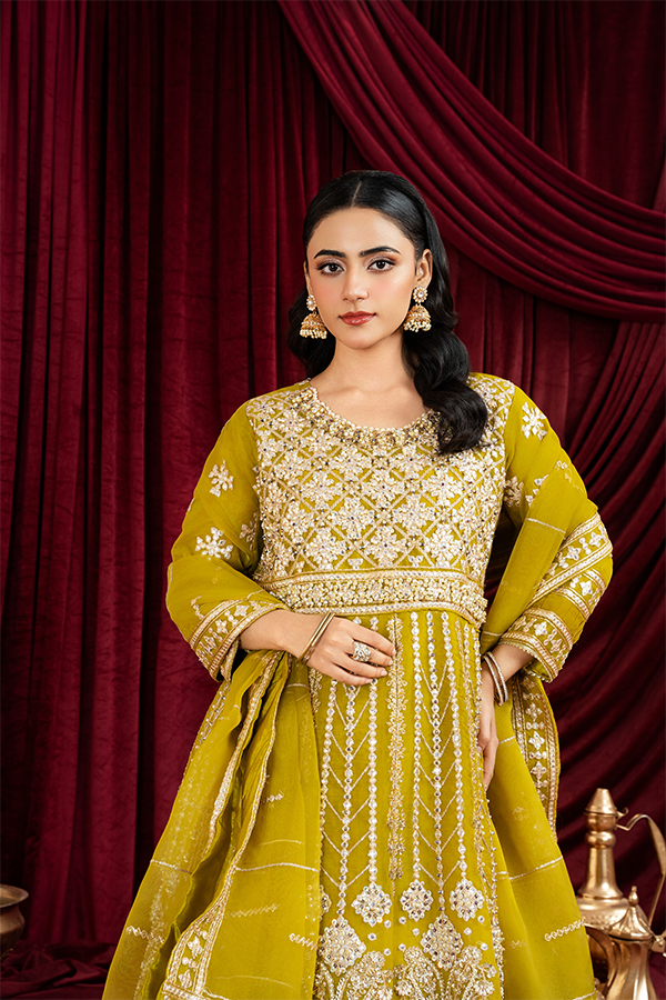 3 PIECE STITCHED EMBROIDERED SUIT MAXI-20 - Nafuji Store