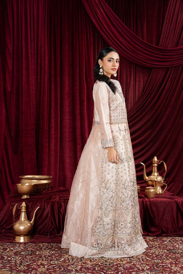 3 PIECE STITCHED EMBROIDERED SUIT MAXI-181 - Nafuji Store