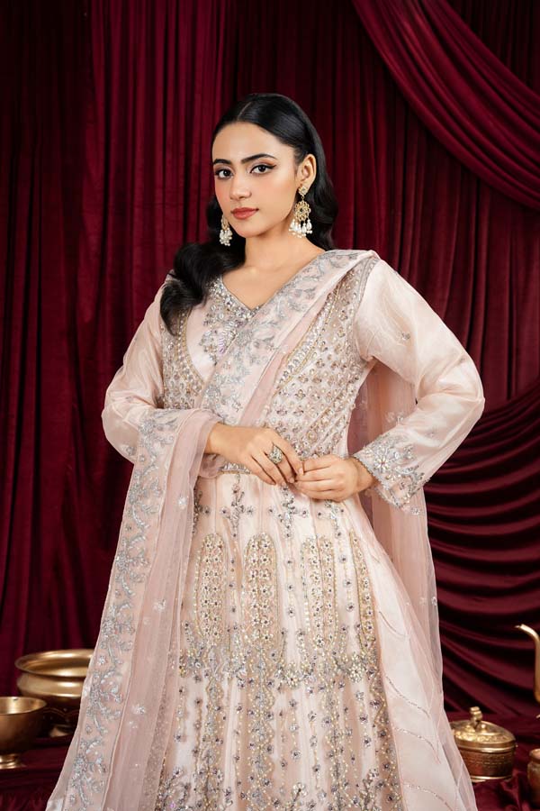 3 PIECE STITCHED EMBROIDERED SUIT MAXI-181 - Nafuji Store